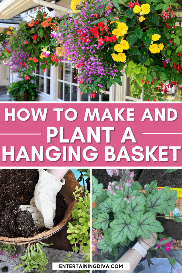 How to plant a hanging basket.png