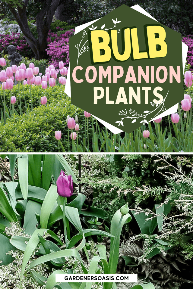 Shade Perennials to Plant With Spring Bulbs 8.png