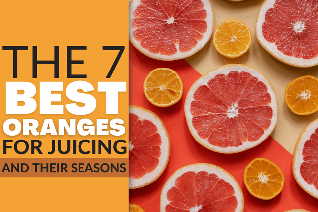 Best oranges for juicing.png